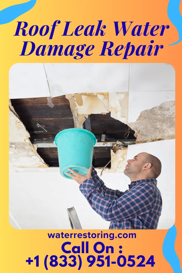 Roof Leak Water Damage Repair in Parowan, UT